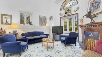 Smart TV, fireplace, books, music library