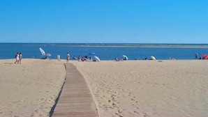 Una playa con un muelle de madera que lleva al agua, sombrillas y gente.