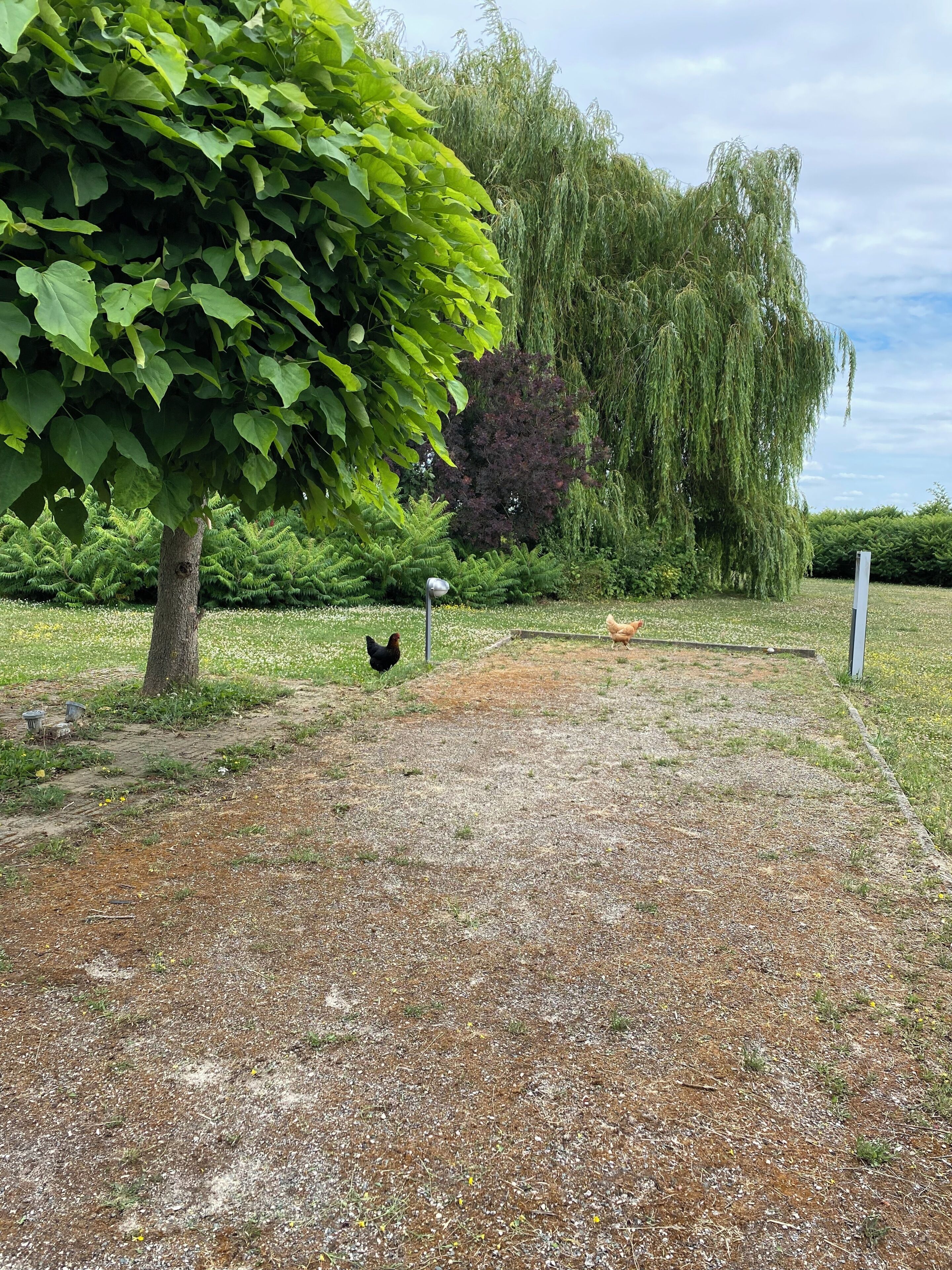 Ein Kiesweg führt durch einen Garten mit Bäumen und einem Huhn.