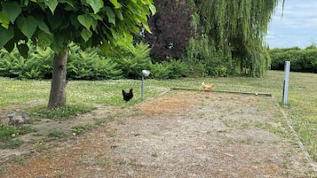 Un chemin de gravier traverse un jardin où l’on trouve des arbres et des poules.