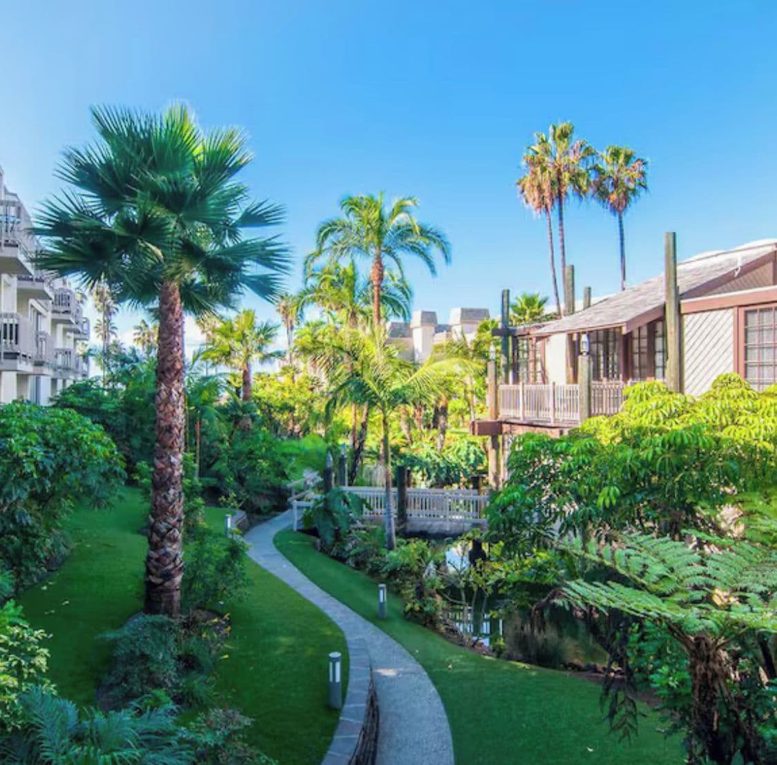 A lush garden with a curved pathway, palm trees, and a building with a balcony.