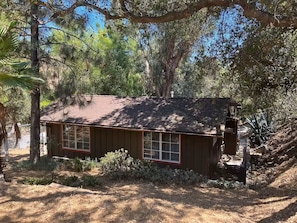 A small, single-story cabin with a sloped roof, surrounded by dense trees and shrubs.