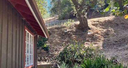 Private Foothill Cabin • 7 Min to Colleges