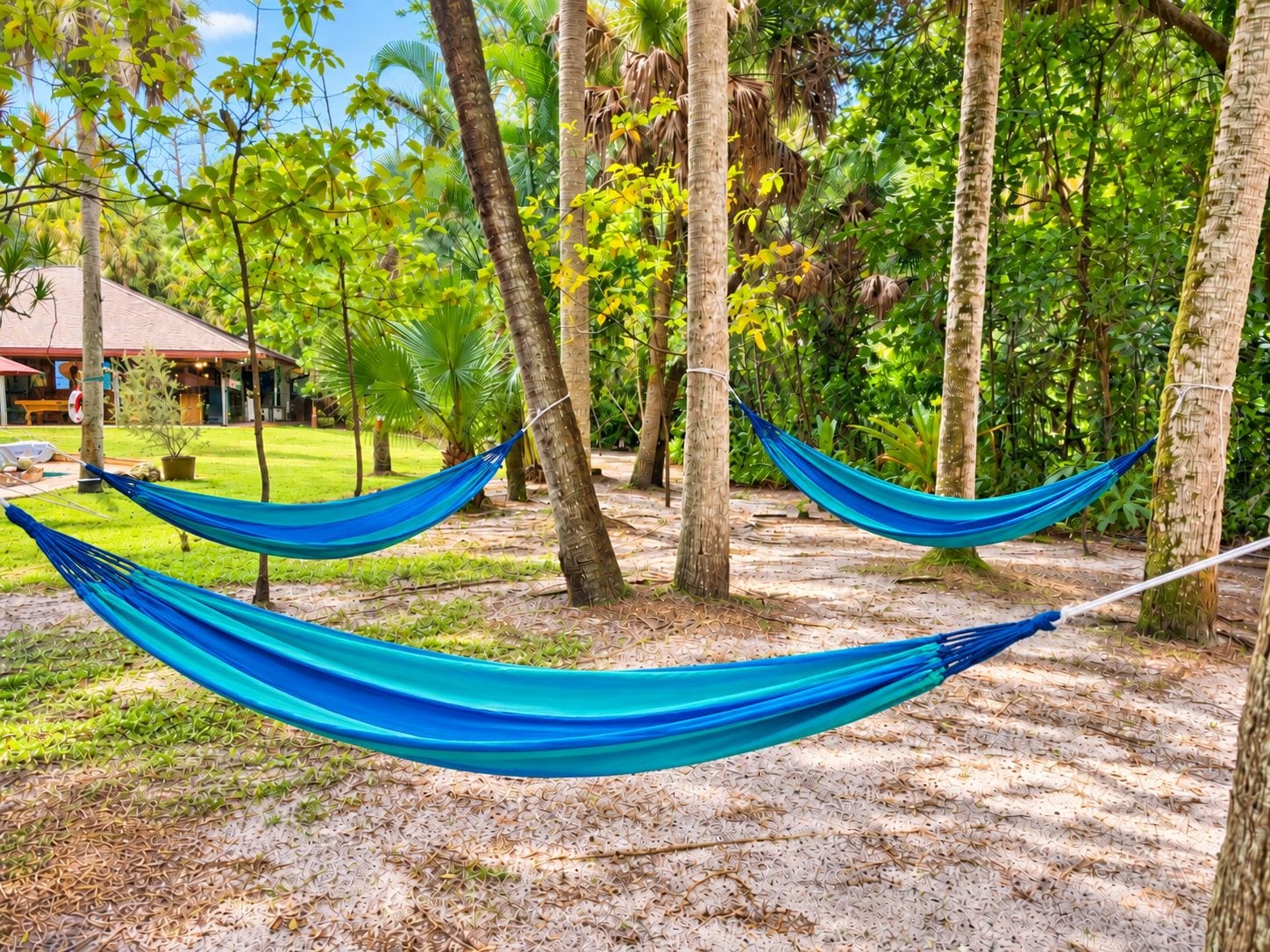 A hammock tied between trees in a tropical setting with a building in the background.
