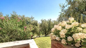 A garden with a brick wall and a grassy area. - Gaetano Spadaro Estate, Frantoio Apartment on the Po River (Capannori)