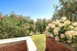 Ein Garten mit einer Ziegelmauer und einer Rasenfläche.