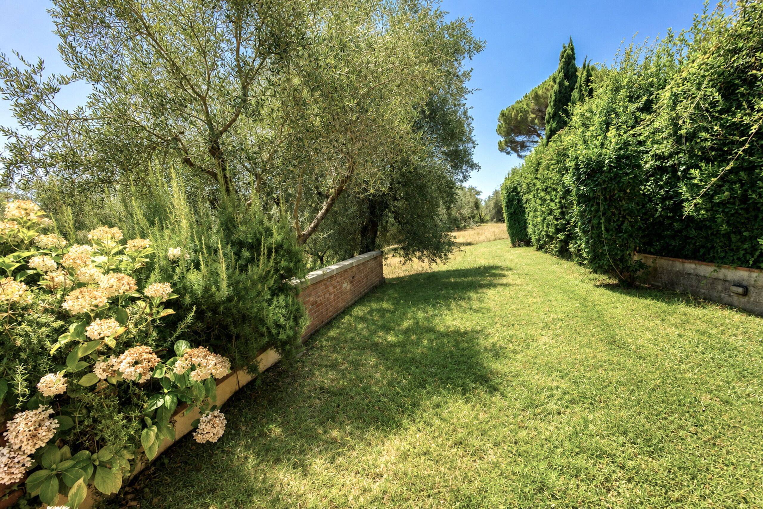 Um jardim bem cuidado com diversas arbustos e plantas floridas, um muro de tijolos e um céu claro.