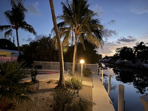 A waterfront property with a pool, palm trees, and a dock.