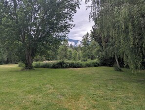 A grassy field with trees and a mountain in the background. - Park like setting on the Applegate River great for wine tasting & family reunion (Jacksonville)