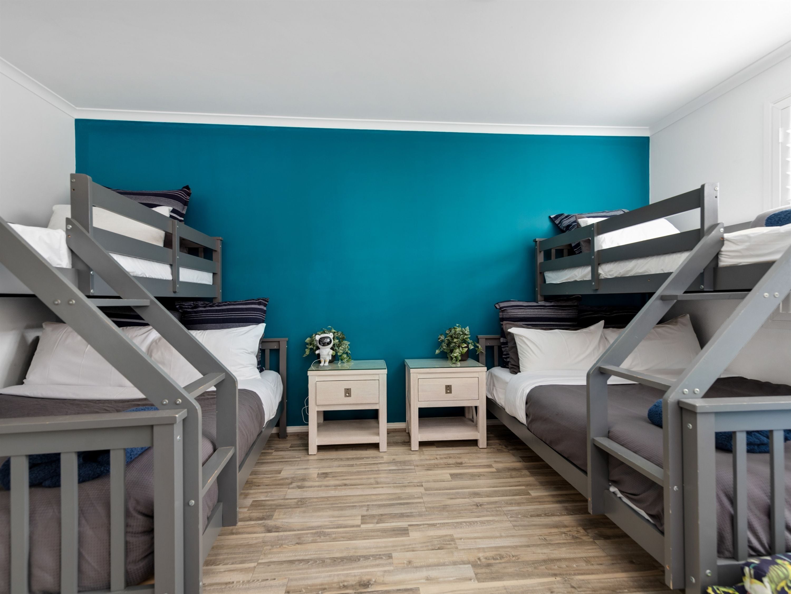 Een kamer met stapelbedden, een klein nachtkastje met een plant, en een muur in een effen teal kleur.