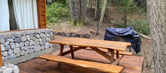 Cabañas en el bosque de Puerto Manzano
