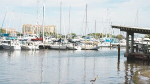 A marina with various boats docked, a bird standing in the water, and buildings in the background. - Accessible 1 King Studio w/ Hot Breakfast + Pool (St. Petersburg)