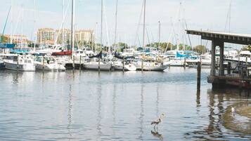 Puerto deportivo