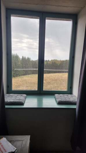 A room with a window overlooking a field and trees. There are two cushions on the windowsill.