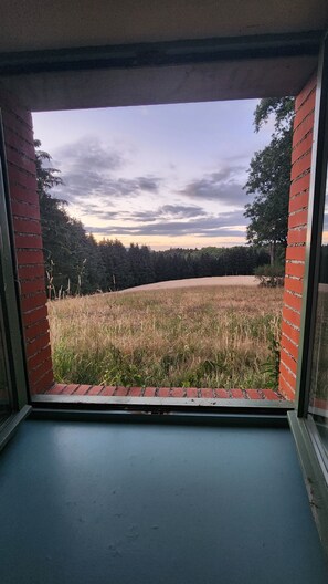 Una habitación con vistas a un campo cubierto de césped y árboles.