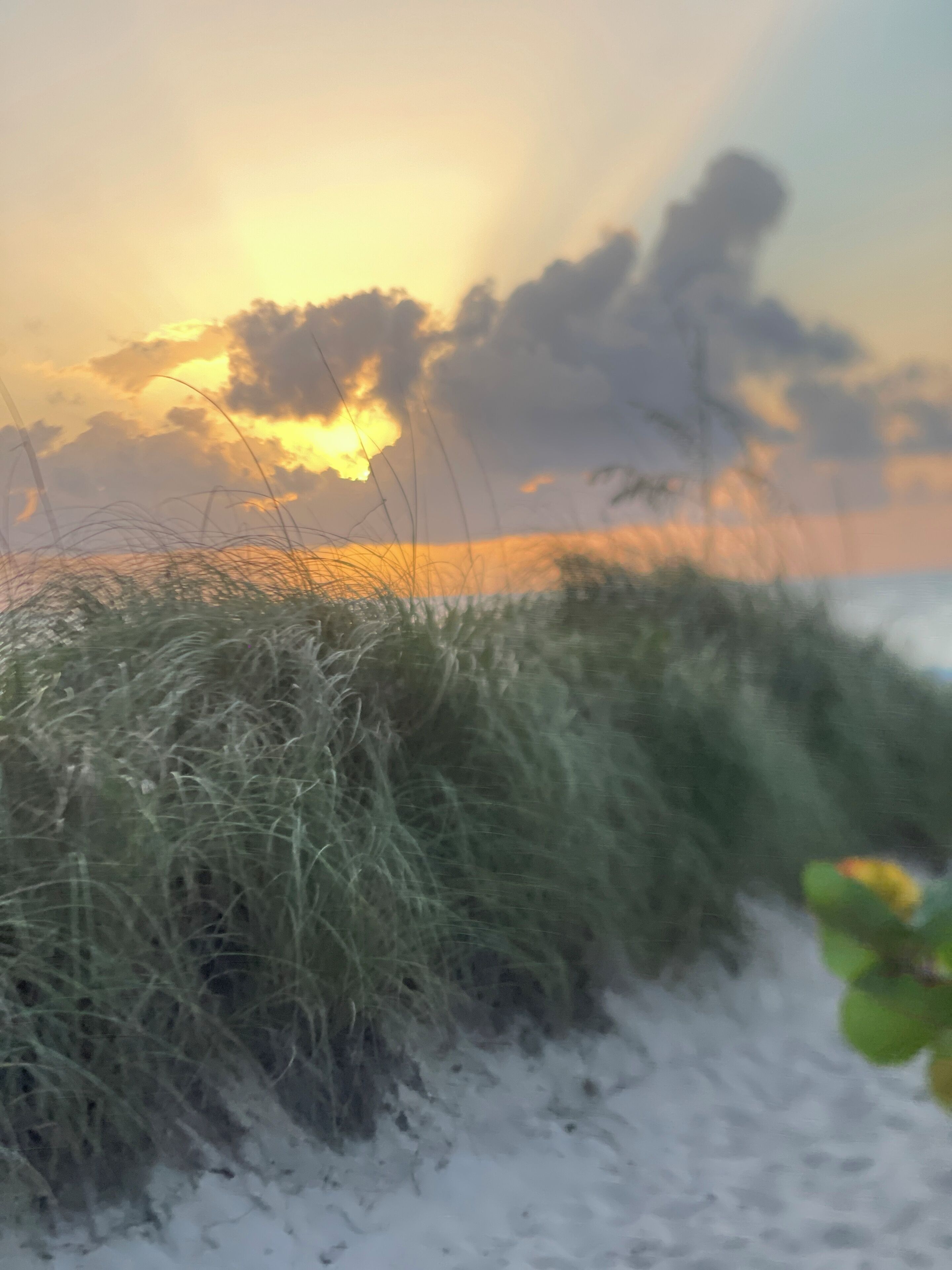 A beach with sand and grass in the foreground, and a sunset in the background.