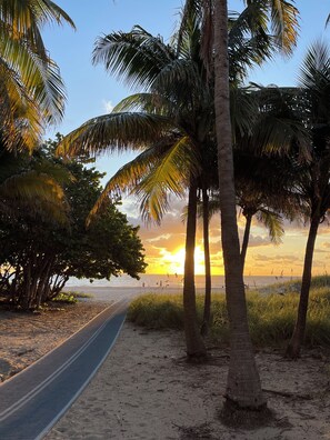 A pathway leading to a beach with palm trees and a sunset in the background. - “No worries “ (Pompano Beach)