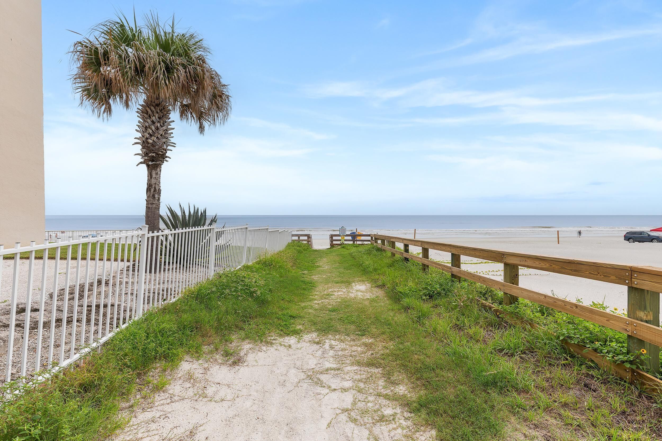 Un sendero que lleva a una playa con una palmera y una valla de madera.