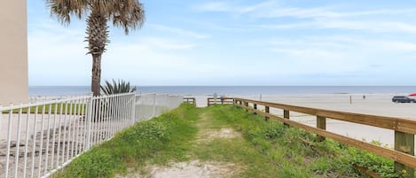 Un sendero que lleva a una playa con una palmera y una valla de madera.