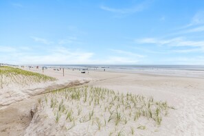 A beach with sand dunes and sparse vegetation. - Tranquil Tides (New Smyrna Beach)