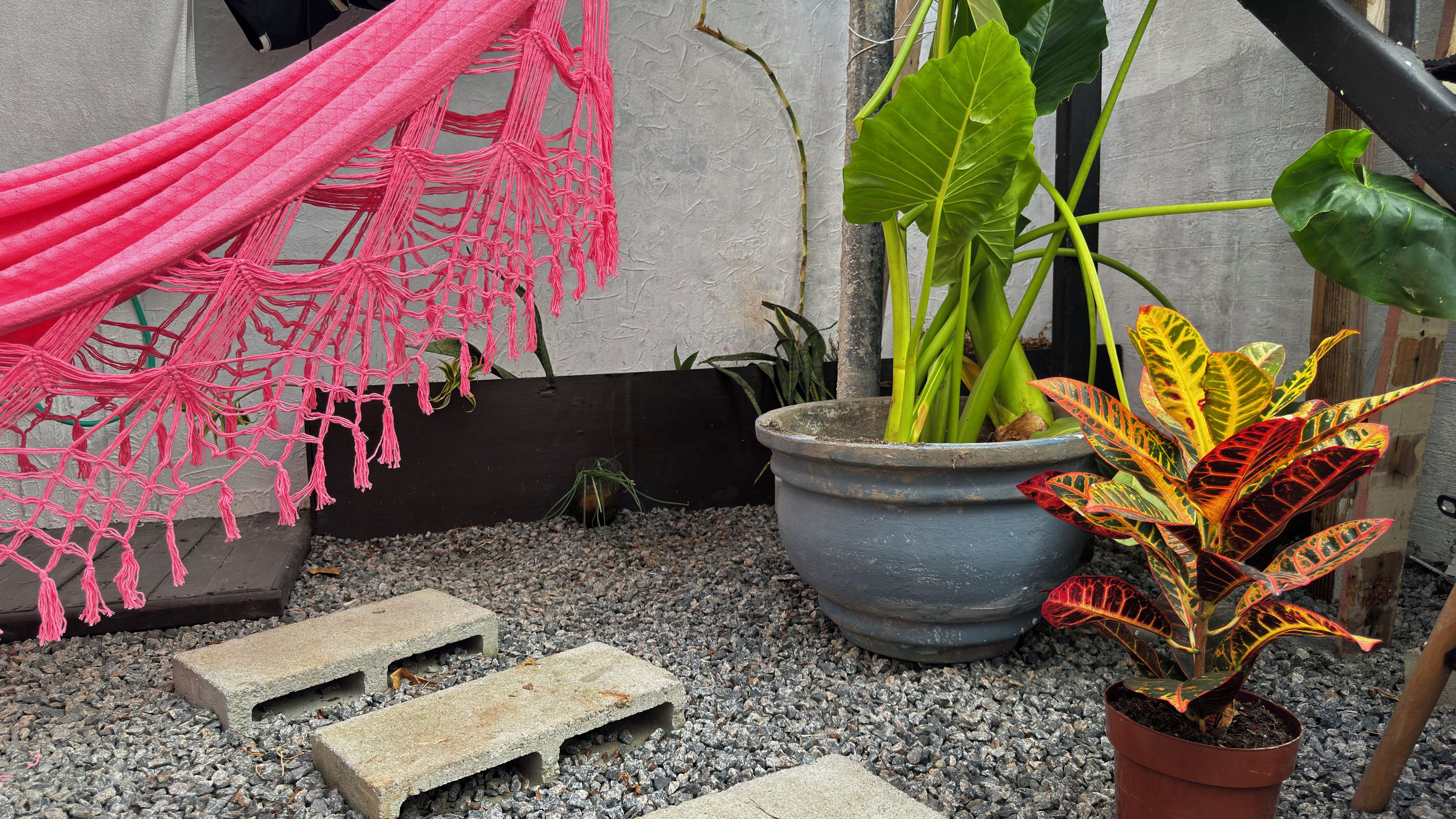 A garden area with a hammock, potted plants, and stepping stones.