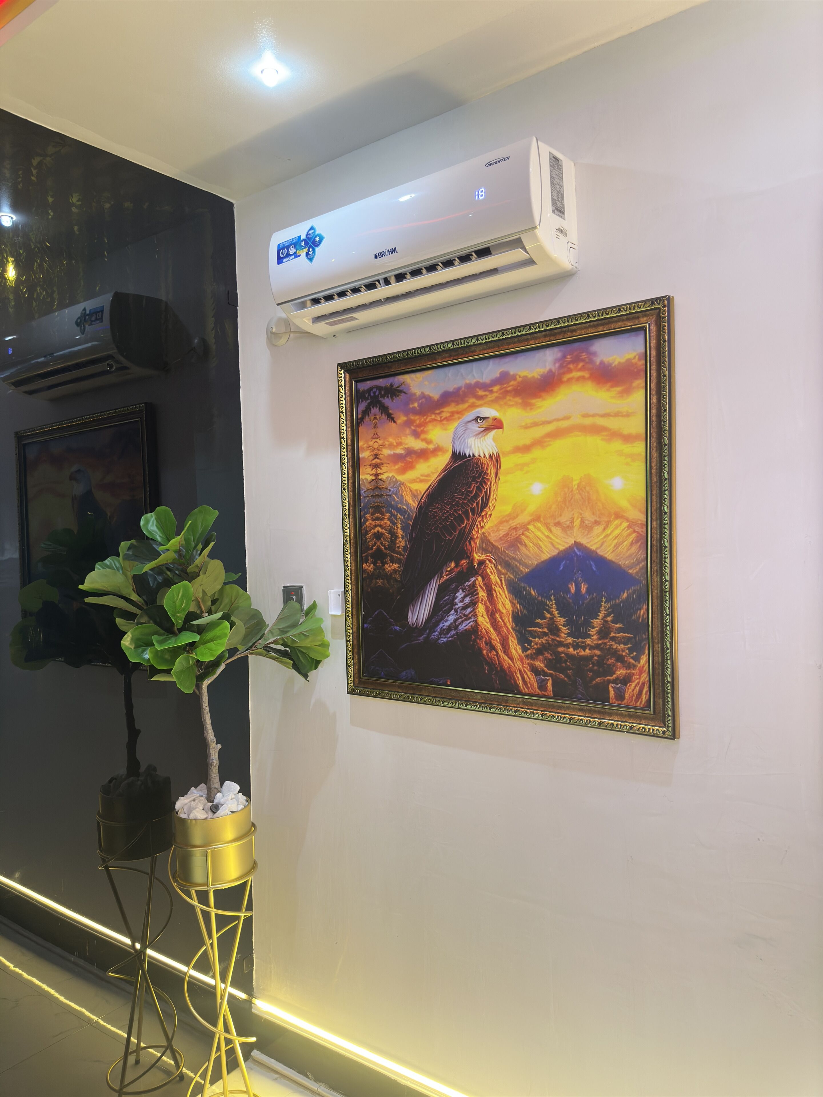 An air conditioning unit mounted on a wall, a framed painting of an eagle, and a potted plant.