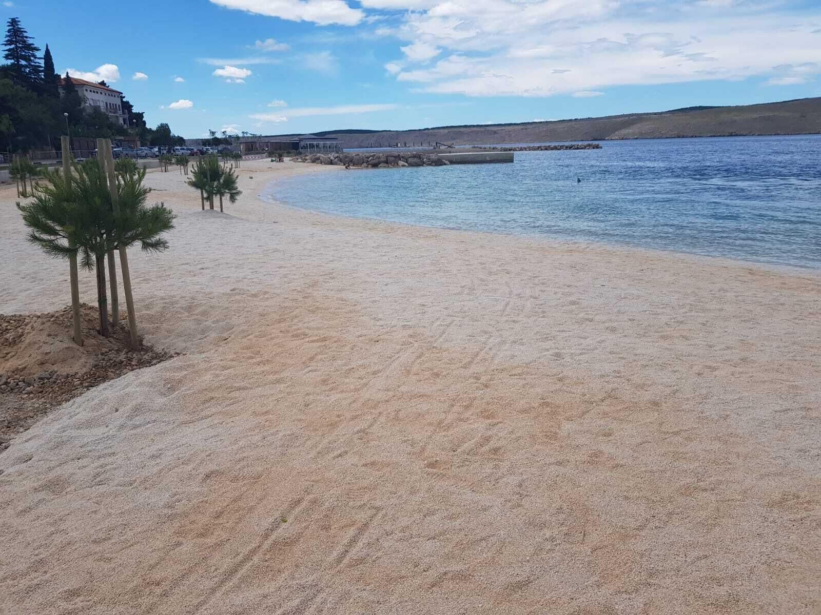 شاطئ