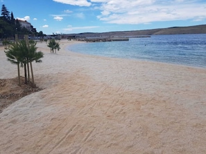 A sandy beach with a few palm trees and a building in the background.