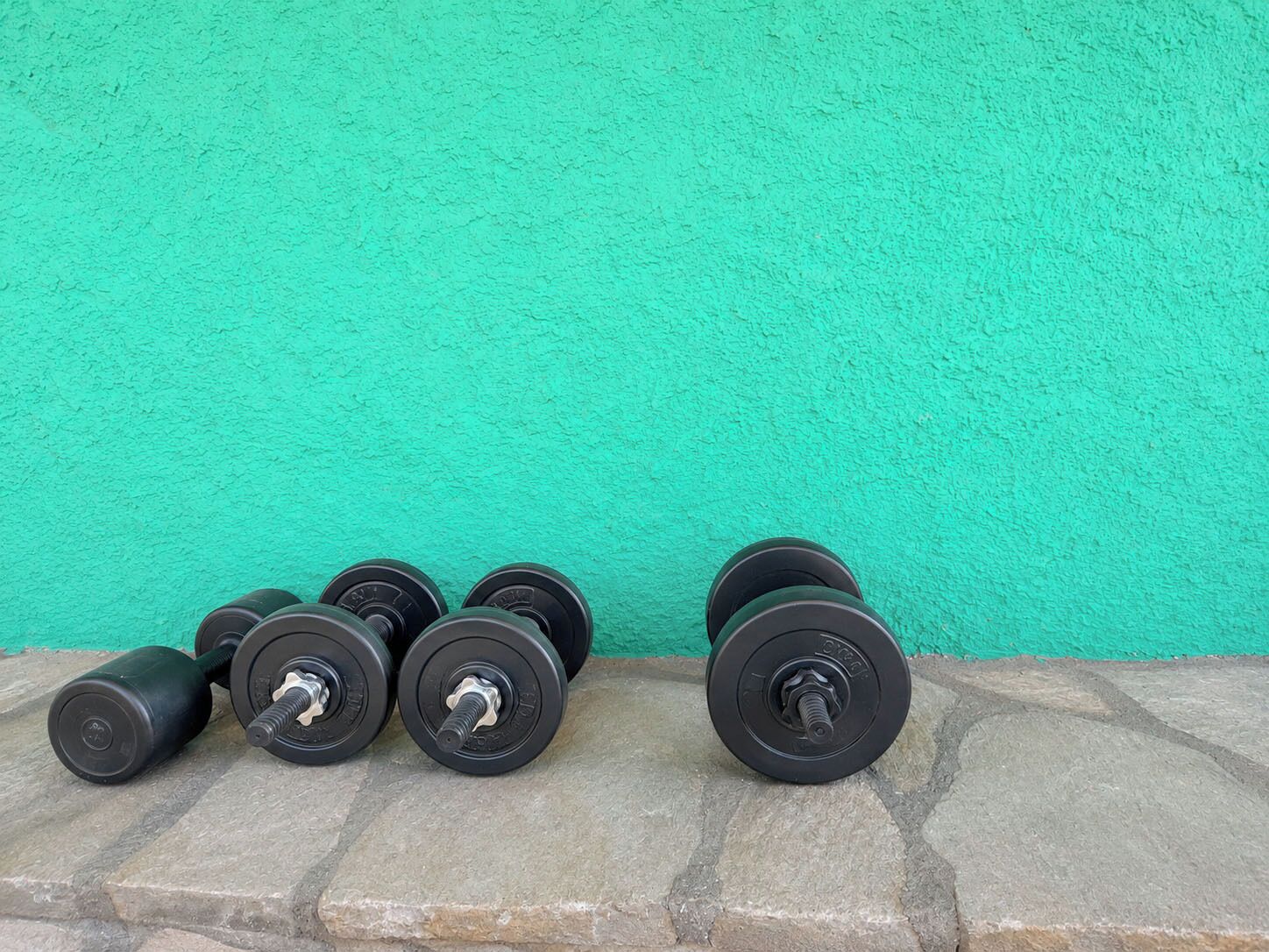A set of black dumbbells against a green wall.