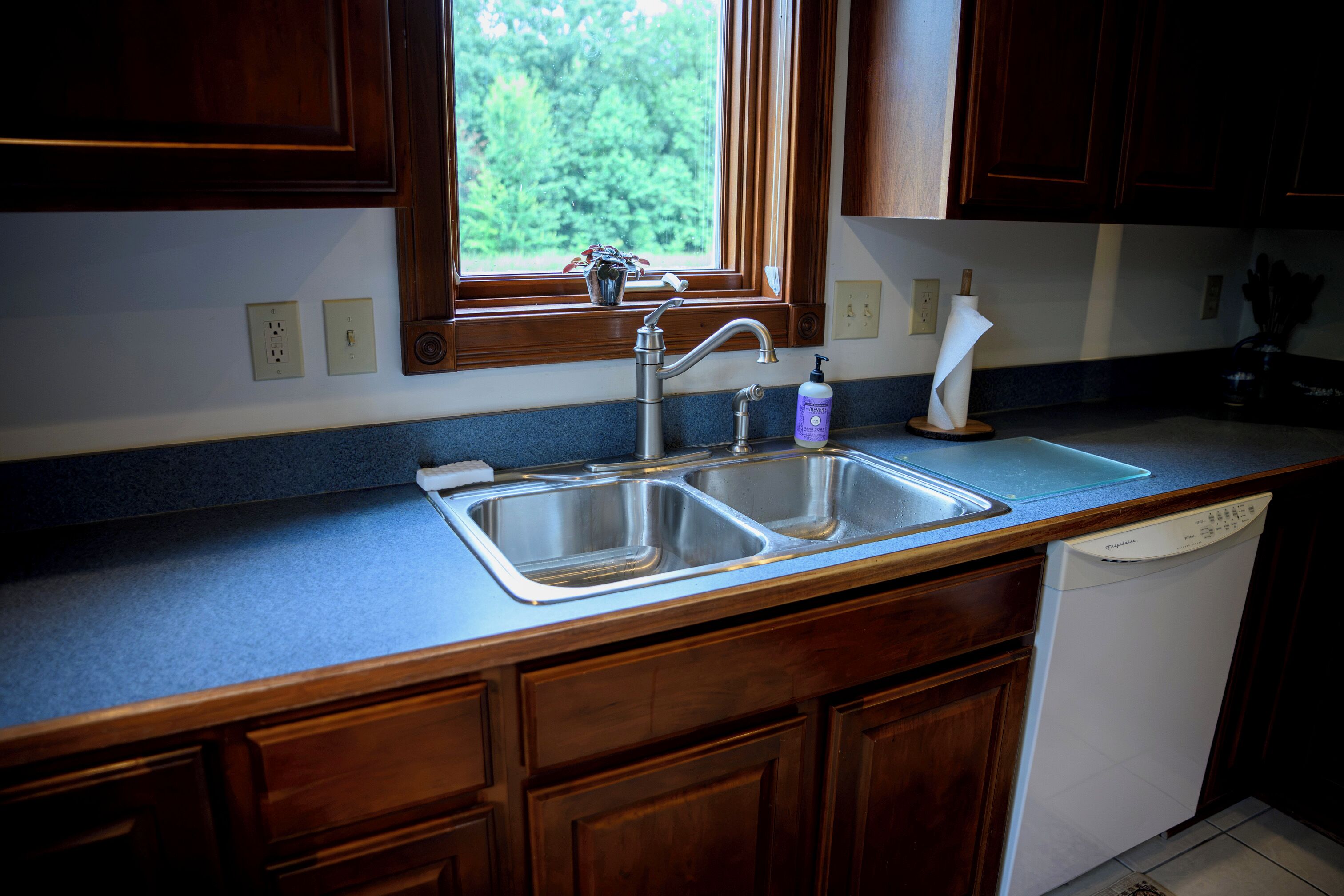 A kitchen with wooden cabinets, a double sink, a window with a view of greenery, and a dish soap bottle on the counter.