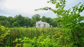 A house surrounded by tall grass and trees.