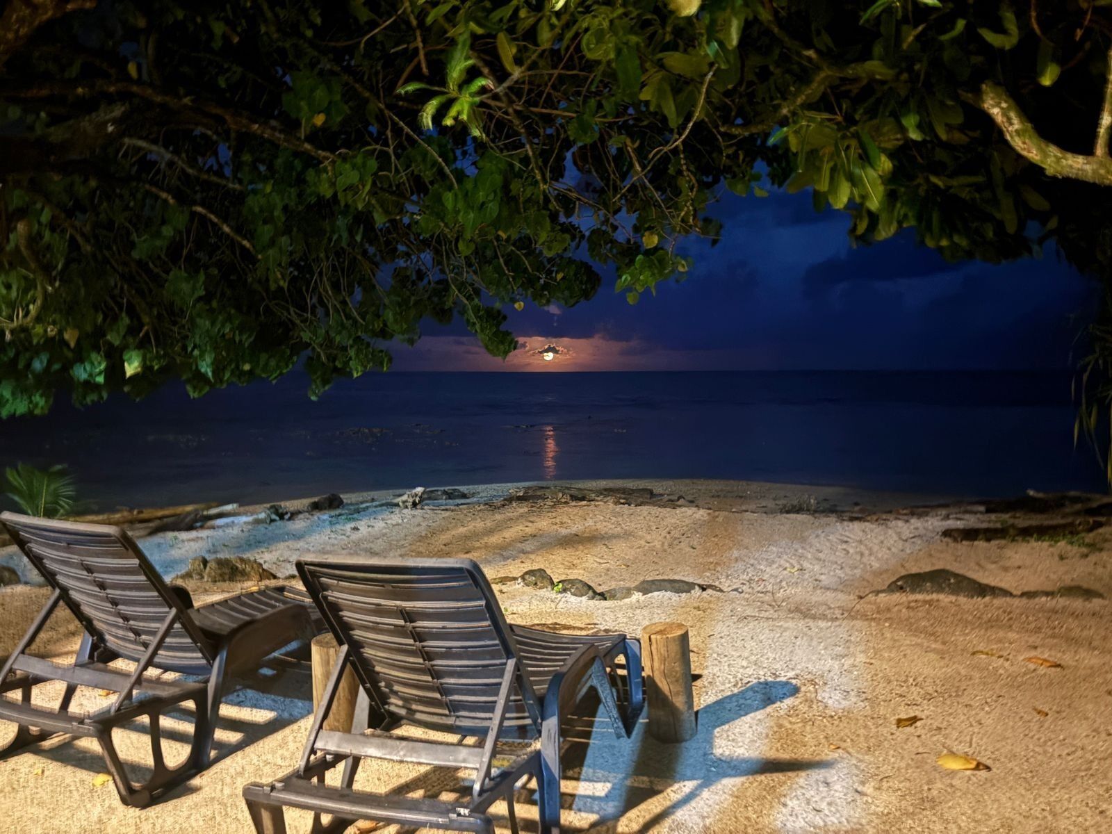 Una playa con dos sillas de descanso bajo un árbol, un poste de madera y un mar tranquilo al atardecer.