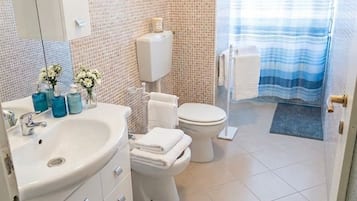 Regadera, secadora de cabello, bidet, toallas