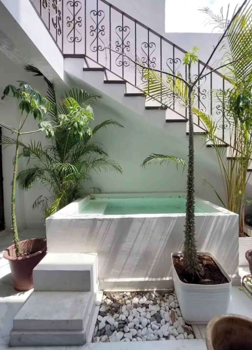 A spa area with a hot tub, steps leading to it, and various potted plants.