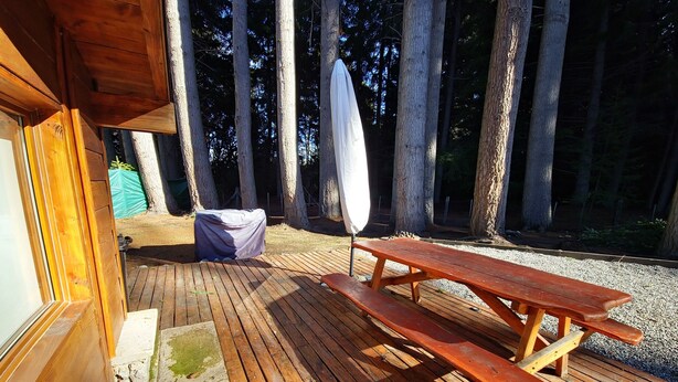 Una terraza de madera con una mesa de picnic y una sombrilla, rodeada de árboles altos.