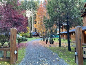 A gravel pathway leading to a wooden cabin with a metal gate. - Cabañas en el bosque patagónico (Villa La Angostura)