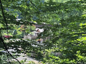 Miscellaneous - FOur Seasons Lodge (Richwood)