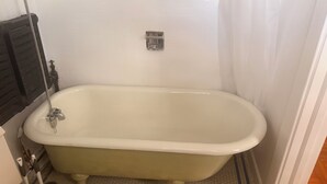 A bathroom with a freestanding bathtub, a toilet, and a shower area. - Quiet central studio apartment in the Capital Hill neighborhood of Denver (Denver)