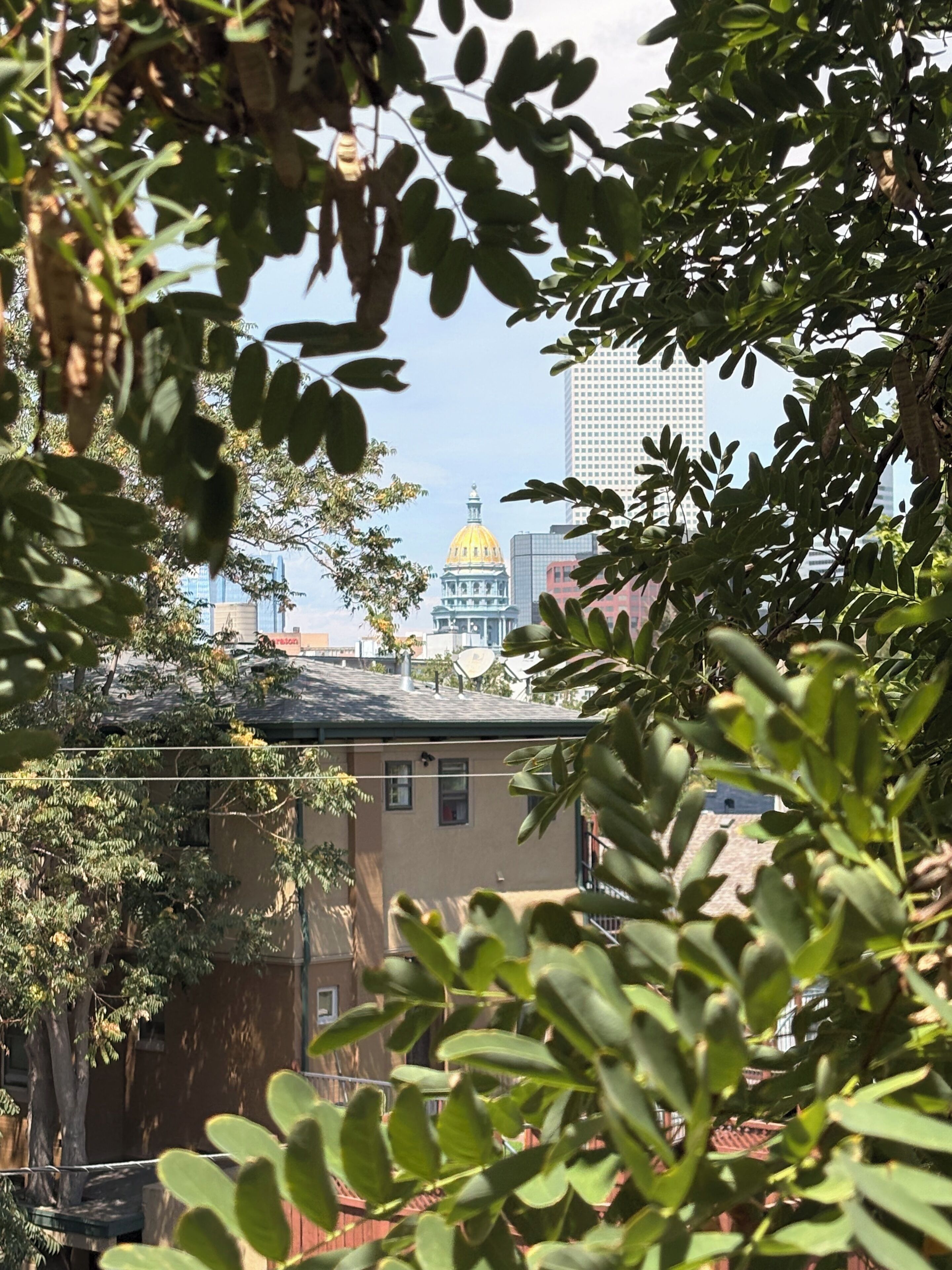 A building with a prominent dome structure, surrounded by trees and other buildings.