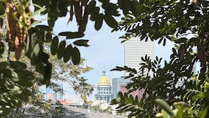 A building with a prominent dome structure, surrounded by trees and other buildings. - Quiet central studio apartment in the Capital Hill neighborhood of Denver (Denver)