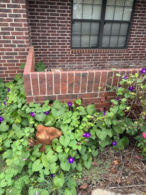 Un muro de ladrillo con una ventana y una jardinera con follaje verde y flores moradas.