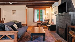 Smart TV, fireplace, books