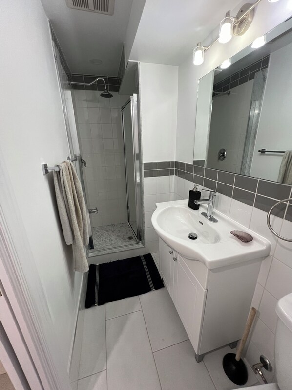 Bathroom - Spacious 2 Bed Basement Apartment Fully Furnished, Separate Entrance (Toronto)