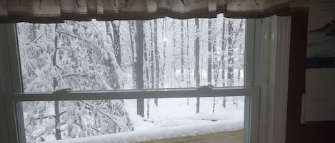 Janela com vista para uma floresta coberta de neve.