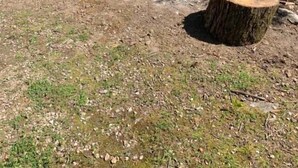 Speisen im Freien