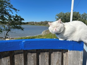 Boendeområde