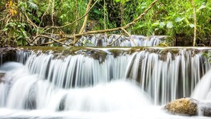 Uma cascata com água caindo sobre rochas, rodeada por vegetação.