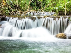 Una cascada con agua que se precipita sobre rocas, rodeada de follaje.