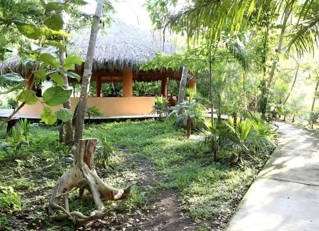 A thatched-roof structure surrounded by lush greenery and a concrete pathway.
