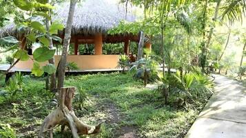 A thatched-roof structure surrounded by lush greenery and a concrete pathway.